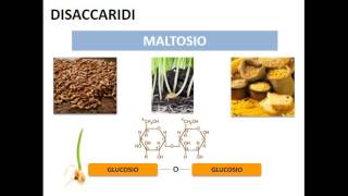 Le biomolecole i carboidrati [upl. by Conlon]