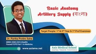 Spleen  Basic Anatomy  Artillery Supply বাংলা [upl. by Ailbert]