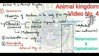 Animal kingdom11thLec4 Diversity of animals based on metamerism Pseudometamerism Cephalization [upl. by Minabe]