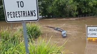 Flooding at Nambour [upl. by Docila]