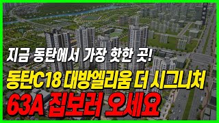 동탄역 대방엘리움 더 시그니처 63a c18블럭 집보러오세요 [upl. by Acinom310]