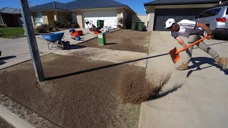 Overseeding My Couch Bermuda Golf Green With Bentgrass [upl. by Notluf174]