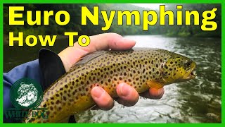 Euro Nymphing  Fly Fishing and On Water Tutorial [upl. by Einalam]