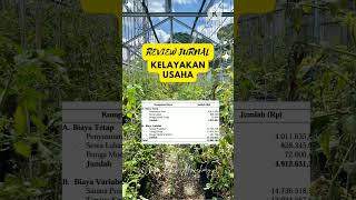 RC Ratio kelayakan shortsvideo tomat [upl. by Enomys]