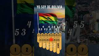 Yo soy de Bolivia  Bonanza en ZAMPOÑA [upl. by Zanlog710]