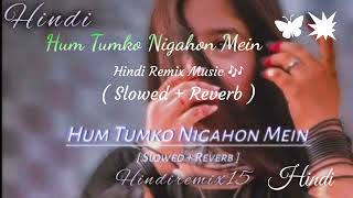 Ham Tumko Nigahen Mein  Slowed Reverb Song Hindi Remix Music 🎵🎵 [upl. by Beker]