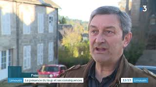 Loup en Corrèze  quelles solutions pour les éleveurs sur le plateau de Millevaches [upl. by Ib]