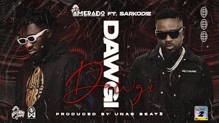 Amerado  Dawgi ft Sarkodie Audio Slide [upl. by Hooper]