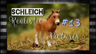 Realistic Modelhorse Schleich Pictures 13 [upl. by Cyril]