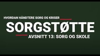 Sorgstøtte 13 Sorg og skole [upl. by Niveg]