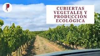 Gestión de viñedo Cubiertas vegetales y producción ecológica [upl. by Enelram]