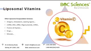 Liposomal Vitamins  What is Liposomal Vitamin C  Liposome Encapsulation  BOC Sciences [upl. by Rayford]