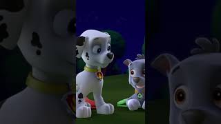 Marco Polo PAW Edition 🫣 PAWPatrolShorts pawpatrolstory pawpatrol [upl. by Pantin]