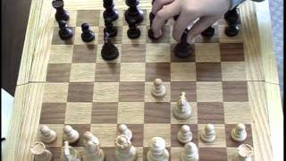 Real chess Checkmate in 5 Moves [upl. by Mariya]