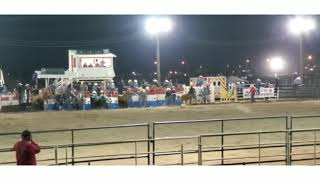 3 of a kind wild horse racesacaton AZ fair 2020 [upl. by Olli]