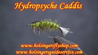 Hydropsyche Caddis Holsingers Fly Shop [upl. by Haidej908]