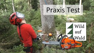 🌲EXTREM Test 4x Fichten Fällung Rückhänger mit Makita und Forstreich wildaufwald [upl. by Finny503]