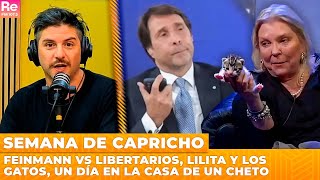 Feinmann vs Libertarios Lilita y los gatos un día en la casa de un cheto SEMANA DE CAPRICHO [upl. by Ytsrik]