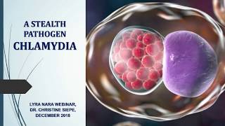 Chlamydia  A Stealth Pathogen [upl. by Ternan]