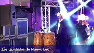 Belleza de Cantina  Los Cordiales De Nuevo León en vivo [upl. by Nivart]