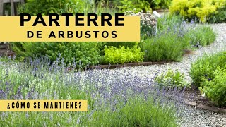 Mantenimiento básico del jardín parterre de arbustos  Bricomanía  Jardinatis [upl. by Gazzo]