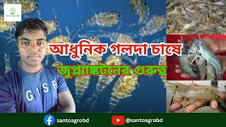 আধুনিক গলদা চিংড়ি চাষে জুপ্ল্যাঙ্কটনের গুরুত্ব  Carp Golda Mixed Culture  Zooplankton [upl. by Kosse]