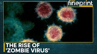 Scientists sound alarm for potential outbreak of Zombie Virus  WION Fineprint [upl. by Haelak973]