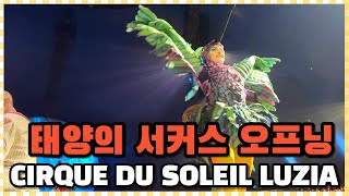 태양의 서커스 루치아 오프닝❤️CIRQUE DU SOLEIL LUZIA [upl. by Napier875]