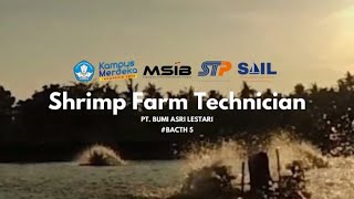 MSIB BATCH 5  PT SURI TANI PEMUKA  SHRIMP FARM TECHNICIAN [upl. by Klein555]