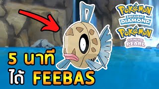 วิธีจับ FEEBAS แบบง่ายๆ วิธีใหม่ ใน Pokemon Brilliant Diamond amp Pokemon Shining Pearl [upl. by Felix]