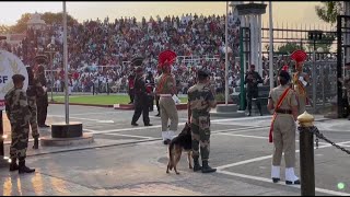 AttariWagah Border Beating Retreat Crowd Gathers To Witness Ceremony Ahead Of Independence Day [upl. by Ratna]