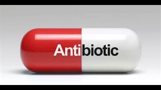 Antibiotics in Poultry Industry Part 1 Introduction Classification and Benefits [upl. by Ahseret]