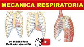 MECANICA RESPIRATORIA CAJA TORACICA RETRACCION ELASTICA [upl. by Tyson]