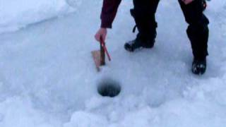 Ice fishing for Whitefish on Lake Temagami with some lake trout [upl. by Jemena]