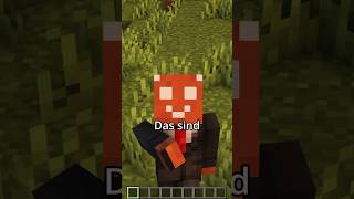 Die nützlichsten Tastenkombination in Minecraft minecraft minecraftshorts maggus [upl. by Mame]