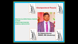 Clavipectoral Fascia Anatomy Extent Structure piercing and Clinical Implication  Dr Rajesh Kumar [upl. by Valerio]