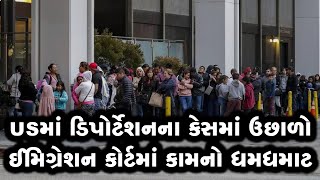 અમેરિકામાં ડિપોર્ટેશનના કેસ ફાઈલ કરવાનો રેકોર્ડ બન્યો કેટલા લોકોને કાઢી મૂકાશે [upl. by Anerahs393]