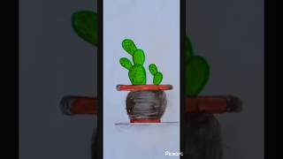 How to draw cactus tree drawing🌵 [upl. by Elisabetta]