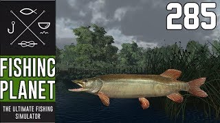 FISHING PLANET 285  CLEAR MUSKY 🎣  Lets Play Fishing Planet [upl. by Uni]