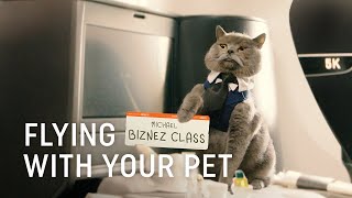 Flying with Your Pet  Turkish Airlines [upl. by Ahterahs]