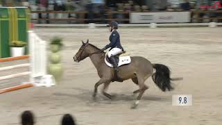 Regio Brabant Pony Springen Georgina Maas [upl. by Alberic711]