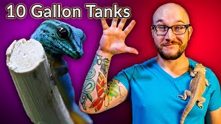 Top 5 Reptiles That Can Live In A Ten Gallon Enclosure FOREVER  Vol 2 [upl. by Azeel]