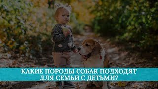 Какие породы собак подходят для семьи с детьми [upl. by Nahtnanhoj994]