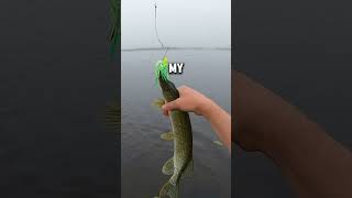 “I never would’ve expected to catch a fish out of this lake…” fishing pikefishing minnesota [upl. by Anamuj]