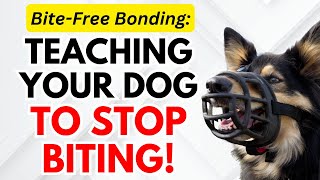 Putting a Pawsitive End to Biting Teaching Your Dog to Stop Biting [upl. by Doty935]