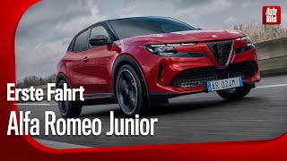 Alfa Romeo Junior Veloce  Erste Fahrt mit Rolf Klein [upl. by Iew]