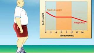 How Does Exercise Impact Weight Loss [upl. by Ahso533]