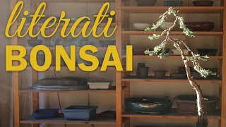 Bonsai Styling Timelapse Literati Bonsai Bunjin Bonsai [upl. by Gnak693]