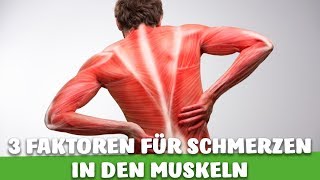 3 FAKTOREN die DIR zeigen ob DU einen MUSKELSCHMERZ hast [upl. by Fidelis]