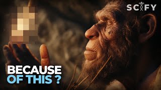 How Our Ancestors Took Over amp Ruled the Earth These are Surprising Facts about Human Evolution [upl. by Selda694]